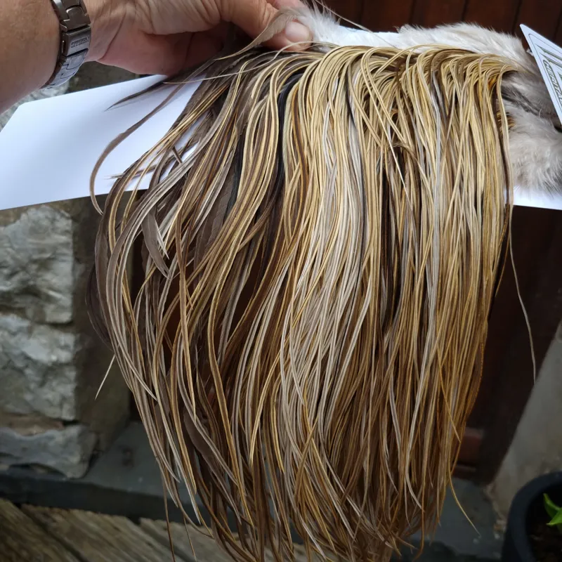 Whiting Heritage Hackles Rooster Saddle in Mixed Colours P Light/ Medium/Dark Champagne Badger/Speckled Champagne Badger Splashed with Natural Dun  Approx Tying Size 12/14/16-7