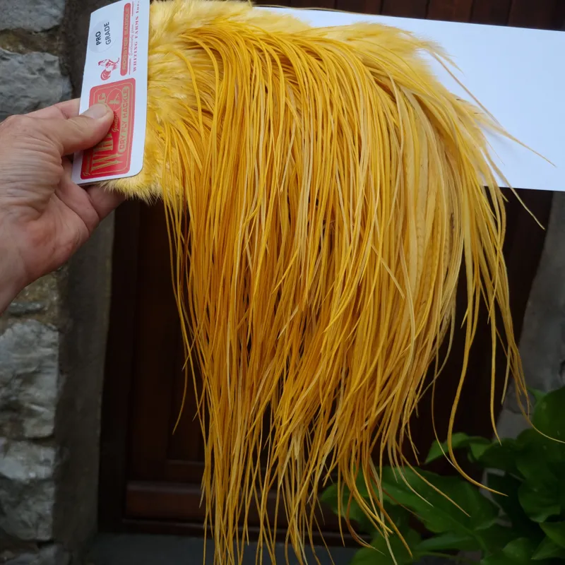 Whiting Pro-Grade Midge Rooster Saddle in White Dyed Golden Straw A Approx Tying Sizes 14 16 18 20 22 and a few smaller