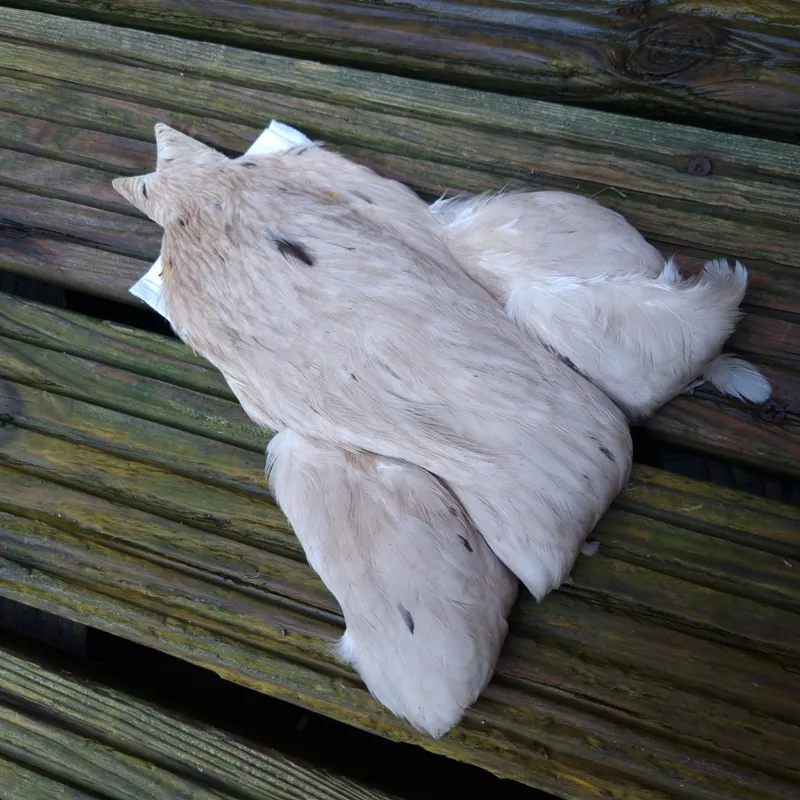 Whiting 4B Hen Cape in Pale Watery Dun