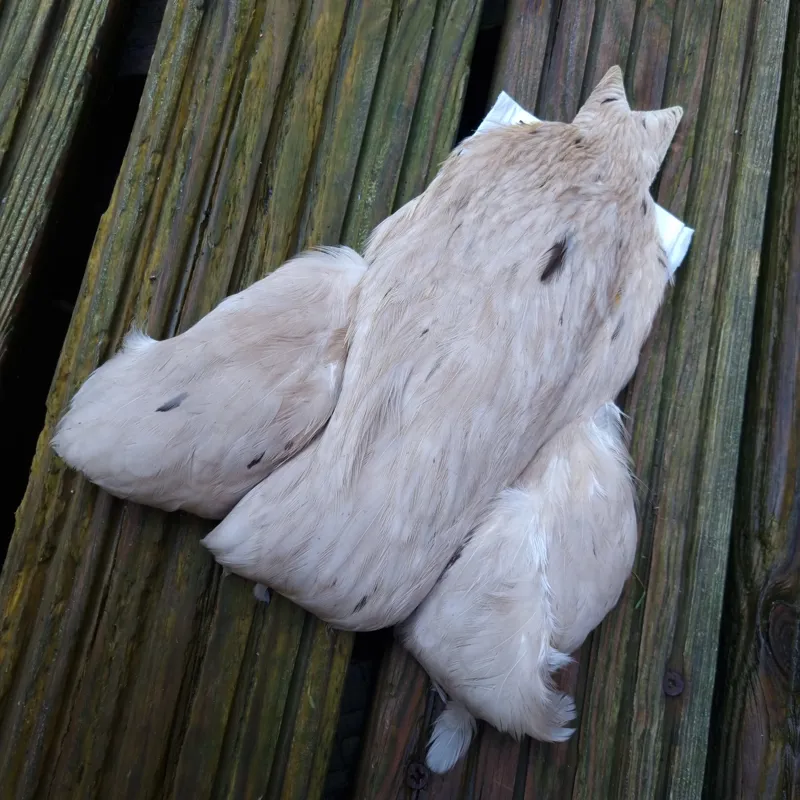 Whiting 4B Hen Cape in Pale Watery Dun-2