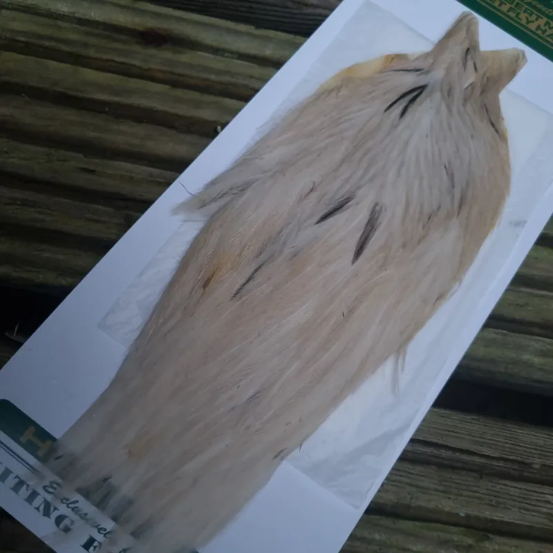 Whiting Hebert Miner Hen Cape in Pale Watery Dun C