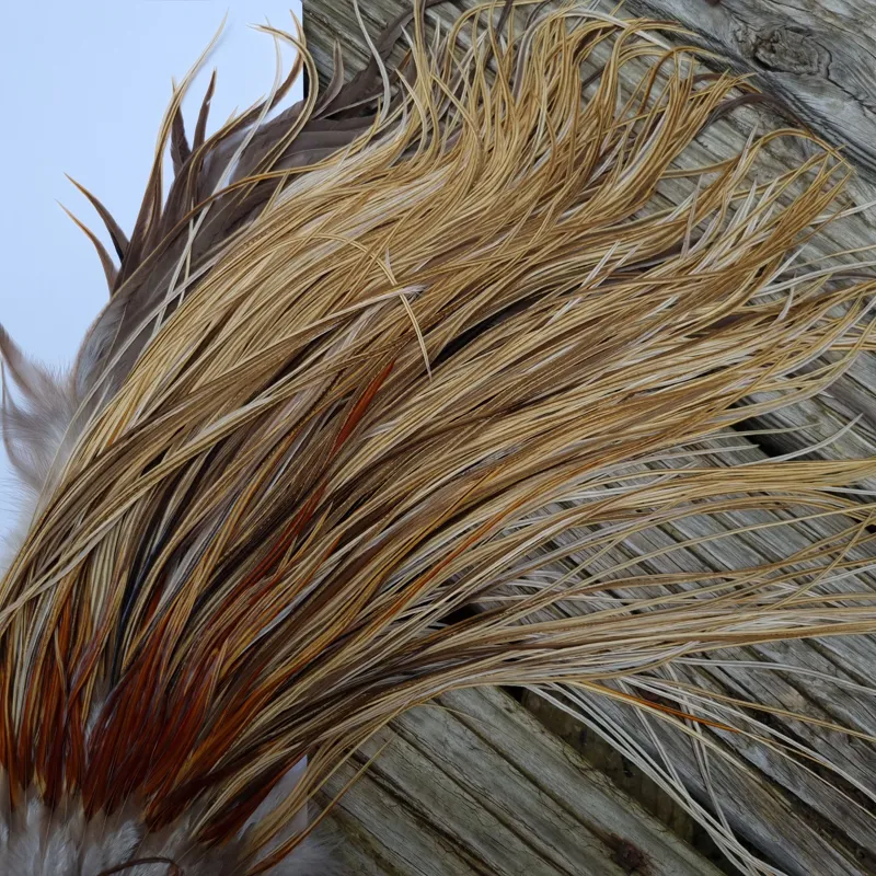 Whiting Heritage Hackles Rooster Saddle in Mixed Colours Q Light/ Medium/Dark Champagne Badger/Speckled Champagne Badger Splashed with Rusty Dun Approx Tying Size 12/14/16-8