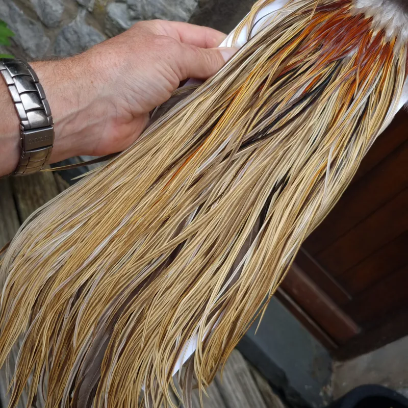 Whiting Heritage Hackles Rooster Saddle in Mixed Colours Q Light/ Medium/Dark Champagne Badger/Speckled Champagne Badger Splashed with Rusty Dun Approx Tying Size 12/14/16-9