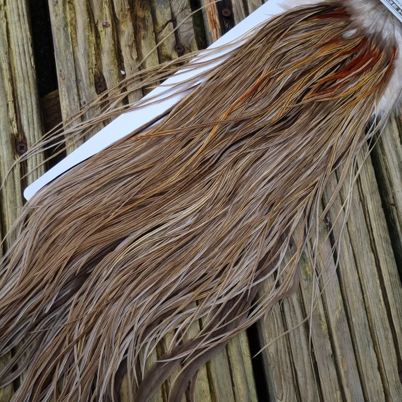 Whiting Heritage Hackles Rooster Saddle in Mixed Colours Q Light/ Medium/Dark Champagne Badger/Speckled Champagne Badger Splashed with Rusty Dun/Silver Badger Approx Tying Size 10/12/14/16-9