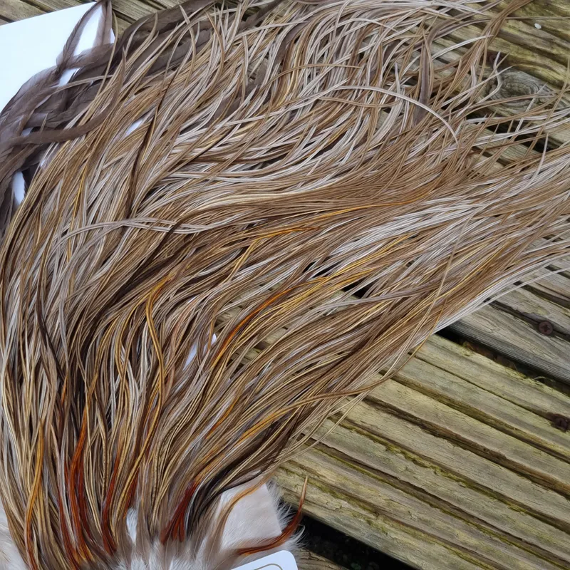 Whiting Heritage Hackles Rooster Saddle in Mixed Colours Q Light/ Medium/Dark Champagne Badger/Speckled Champagne Badger Splashed with Rusty Dun/Silver Badger Approx Tying Size 10/12/14/16-8