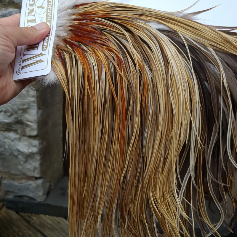 Whiting Heritage Hackles Rooster Saddle in Mixed Colours Q Light/ Medium/Dark Champagne Badger/Speckled Champagne Badger Splashed with Rusty Dun Approx Tying Size 12/14/16