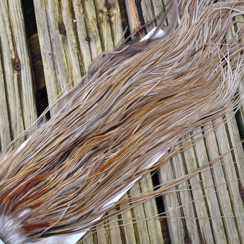 Whiting Heritage Hackles Rooster Saddle in Mixed Colours Q Light/ Medium/Dark Champagne Badger/Speckled Champagne Badger Splashed with Rusty Dun/Silver Badger Approx Tying Size 10/12/14/16-7