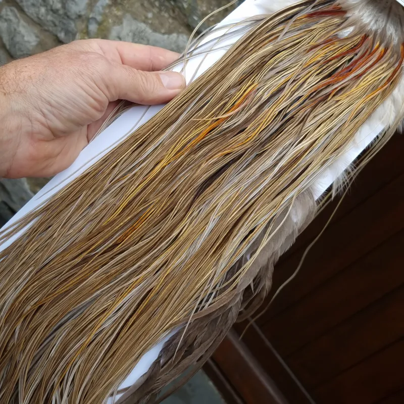 Whiting Heritage Hackles Rooster Saddle in Mixed Colours Q Light/ Medium/Dark Champagne Badger/Speckled Champagne Badger Splashed with Rusty Dun/Silver Badger Approx Tying Size 10/12/14/16-5