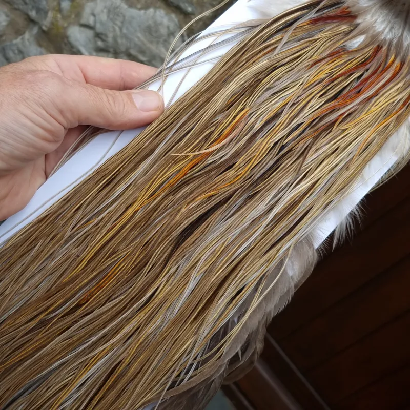 Whiting Heritage Hackles Rooster Saddle in Mixed Colours Q Light/ Medium/Dark Champagne Badger/Speckled Champagne Badger Splashed with Rusty Dun/Silver Badger Approx Tying Size 10/12/14/16-2