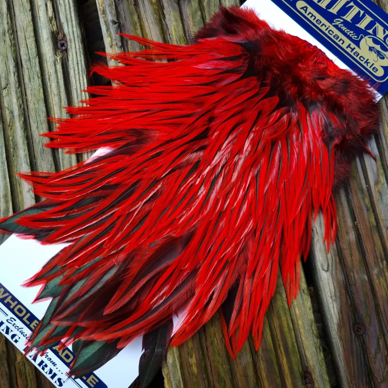Whiting American Rooster Saddle in Silver Badger Dyed Red