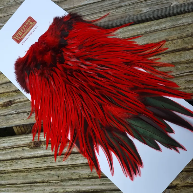 Whiting Brahma Rooster Saddle in Silver Badger Dyed Red-1