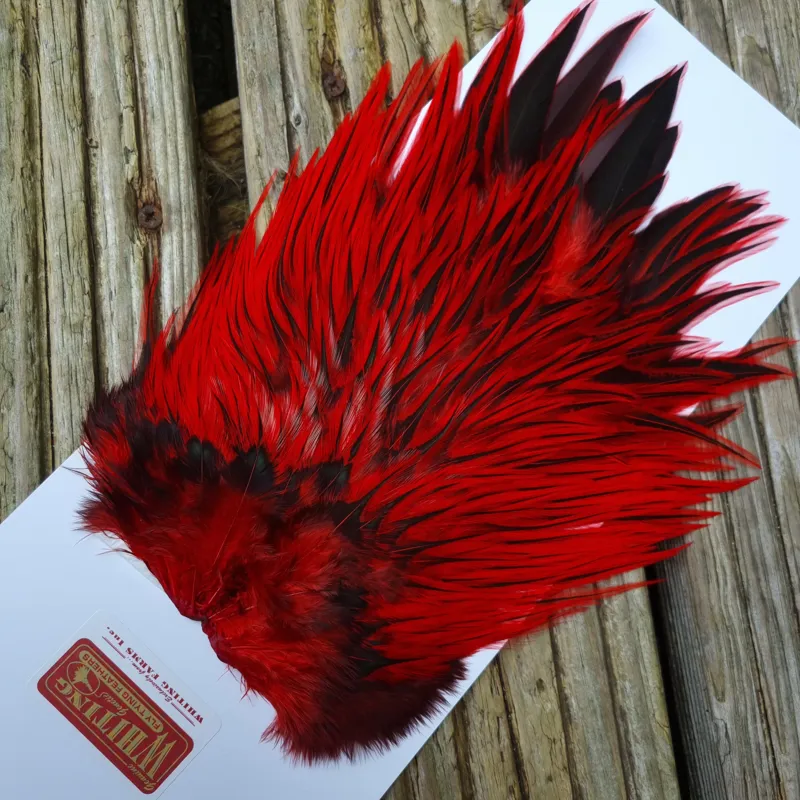 Whiting Brahma Rooster Saddle in Silver Badger Dyed Red-4