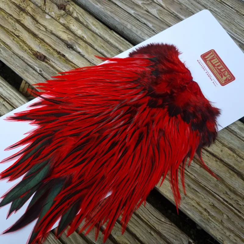 Whiting Brahma Rooster Saddle in Silver Badger Dyed Red-2