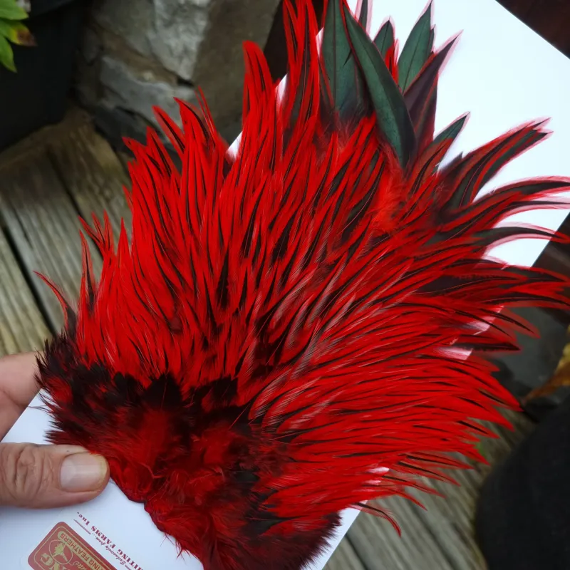 Whiting Brahma Rooster Saddle in Silver Badger Dyed Red-6