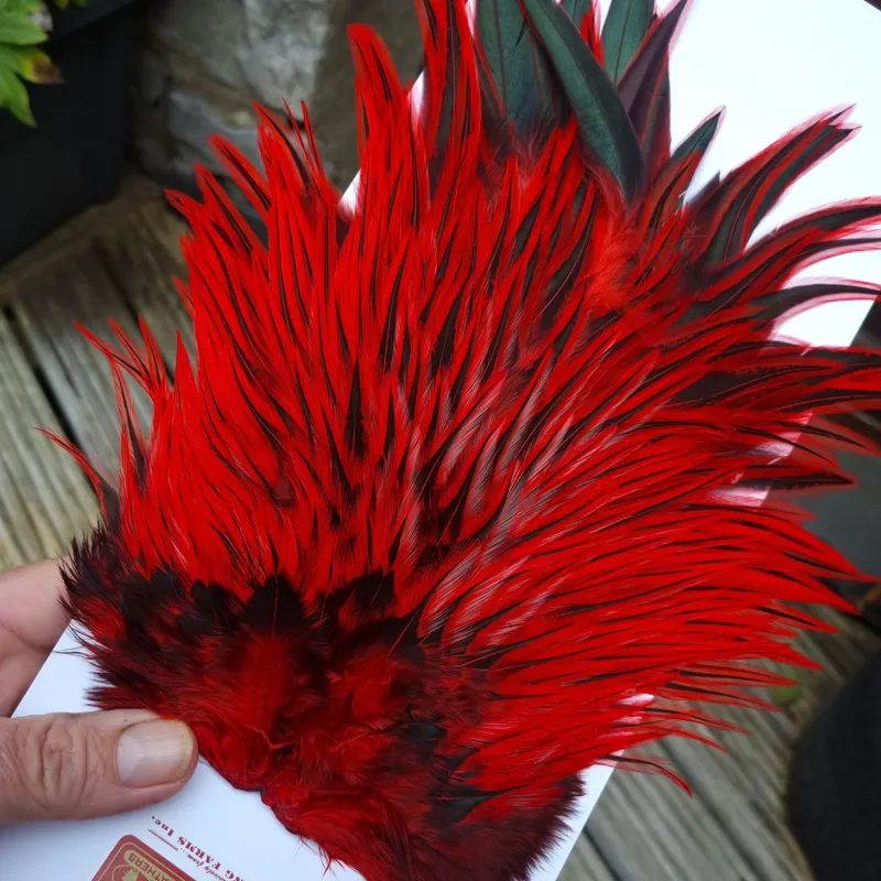 Whiting Brahma Rooster Saddle in Silver Badger Dyed Red