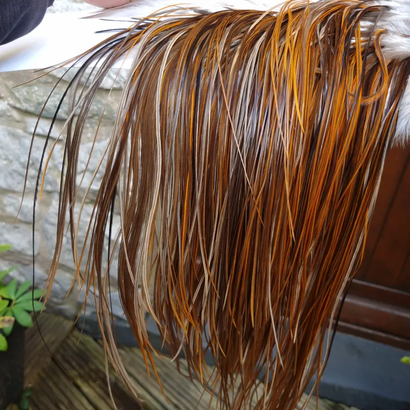 Whiting Hebert Miner  Bronze Grade Rooster Saddle in Rusty Dun B Light/Medium/Dark Rusty Dun Approx tying size 10/12/14/16-8