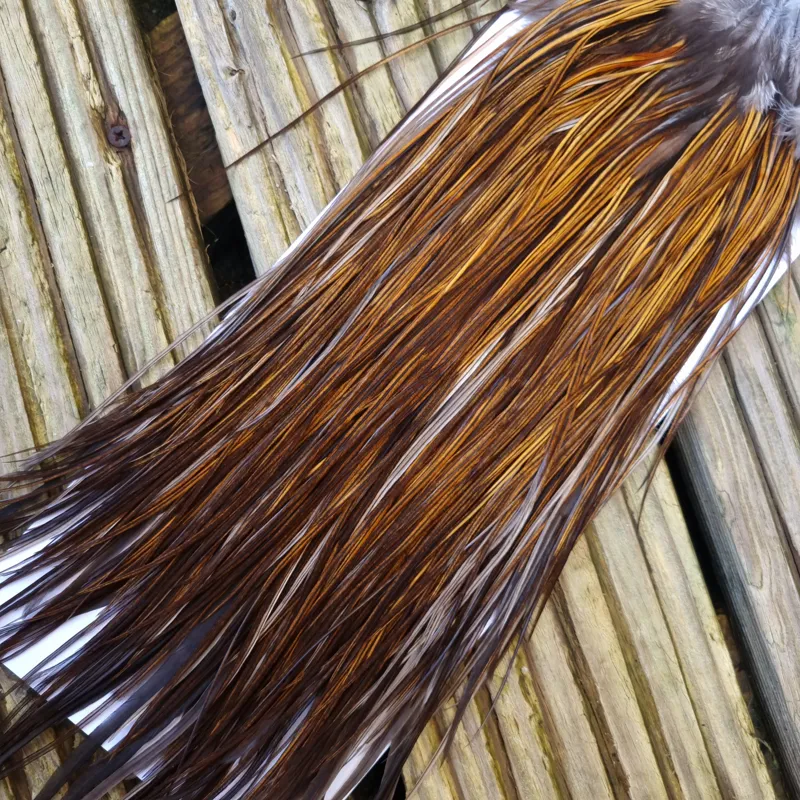 Whiting Hebert Miner Bronze Grade Rooster Saddle in Rusty Dun C Light/Medium Dark Rusty Dun approx tying size 10/12/14-3
