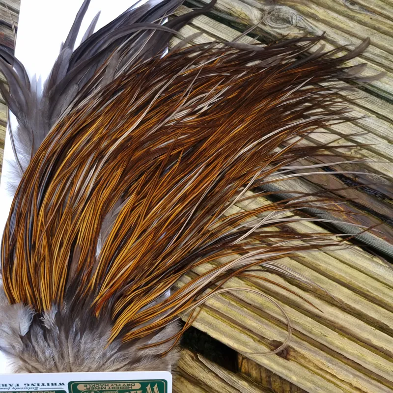 Whiting Hebert Miner Bronze Grade Rooster Saddle in Rusty Dun C Light/Medium Dark Rusty Dun approx tying size 10/12/14-4