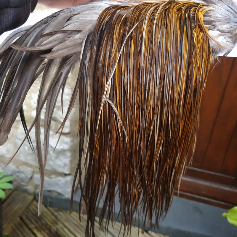 Whiting Hebert Miner Bronze Grade Rooster Saddle in Rusty Dun C Light/Medium Dark Rusty Dun approx tying size 10/12/14-8