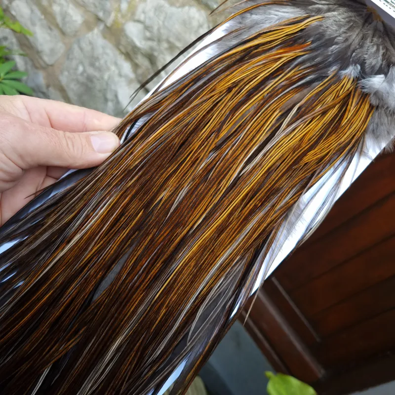 Whiting Hebert Miner Bronze Grade Rooster Saddle in Rusty Dun C Light/Medium Dark Rusty Dun approx tying size 10/12/14-6