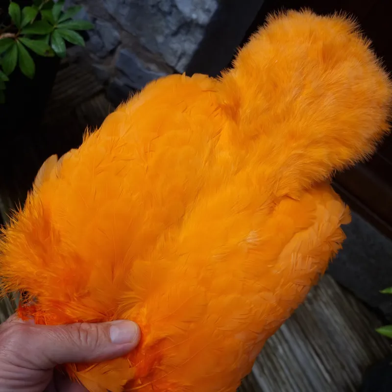 Whiting Rooster Soft Hackle with Chickabou in White Dyed Shrimp Orange-2
