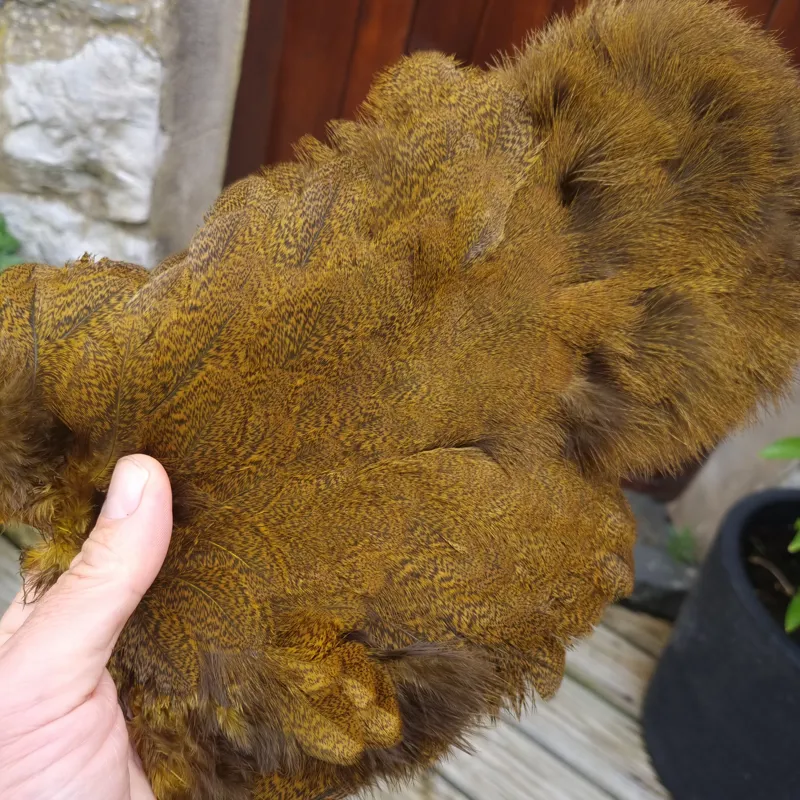 Whiting Coq de Leon Hen Soft Hackle with Chickabou in Speckled Copper Olive-2