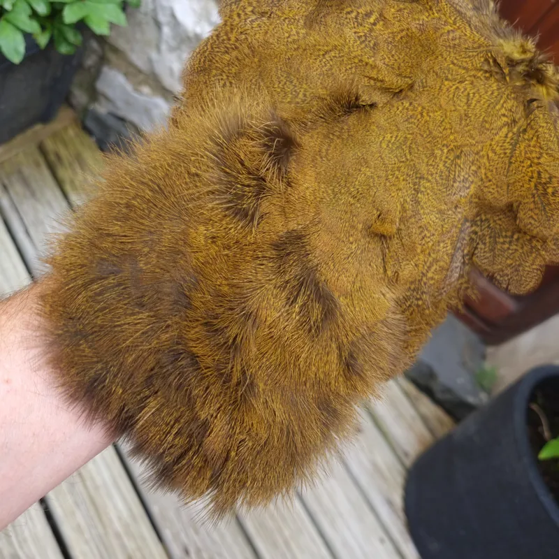 Whiting Coq de Leon Hen Soft Hackle with Chickabou in Speckled Copper Olive-1