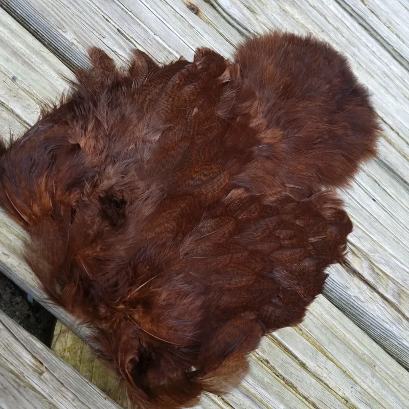 Whiting Coq de Leon Hen Soft Hackle with Chickabou in Speckled Dyed Natural Brown-3