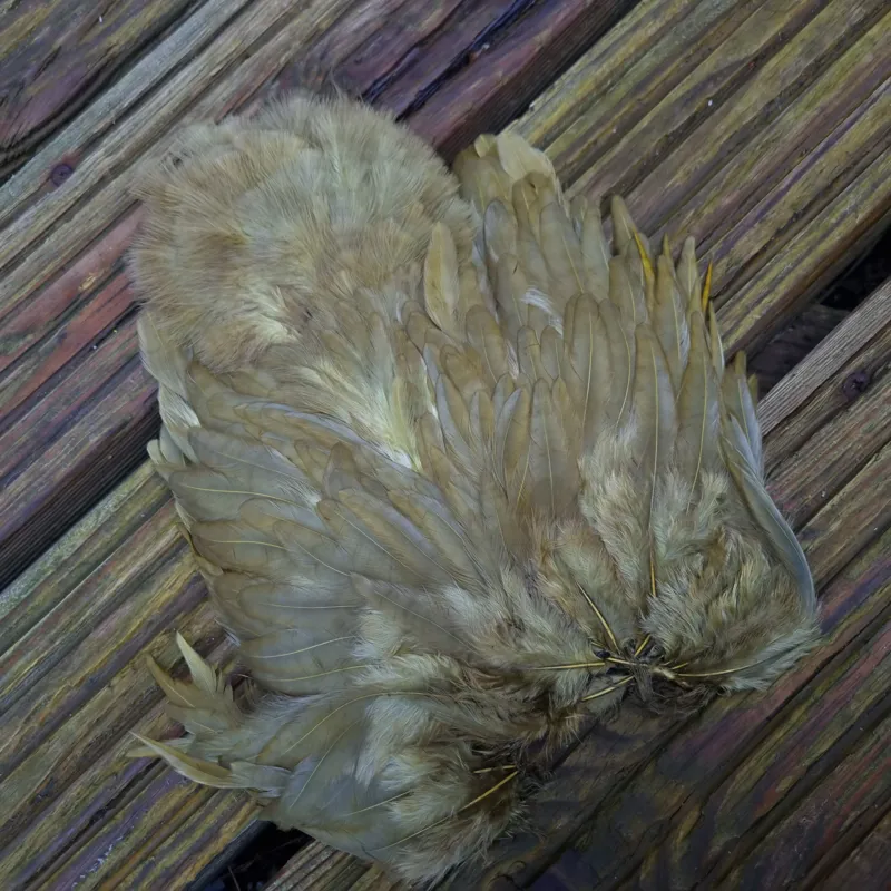 Whiting Rooster Soft Hackle with Chickabou in White dyed Dark Olive-4