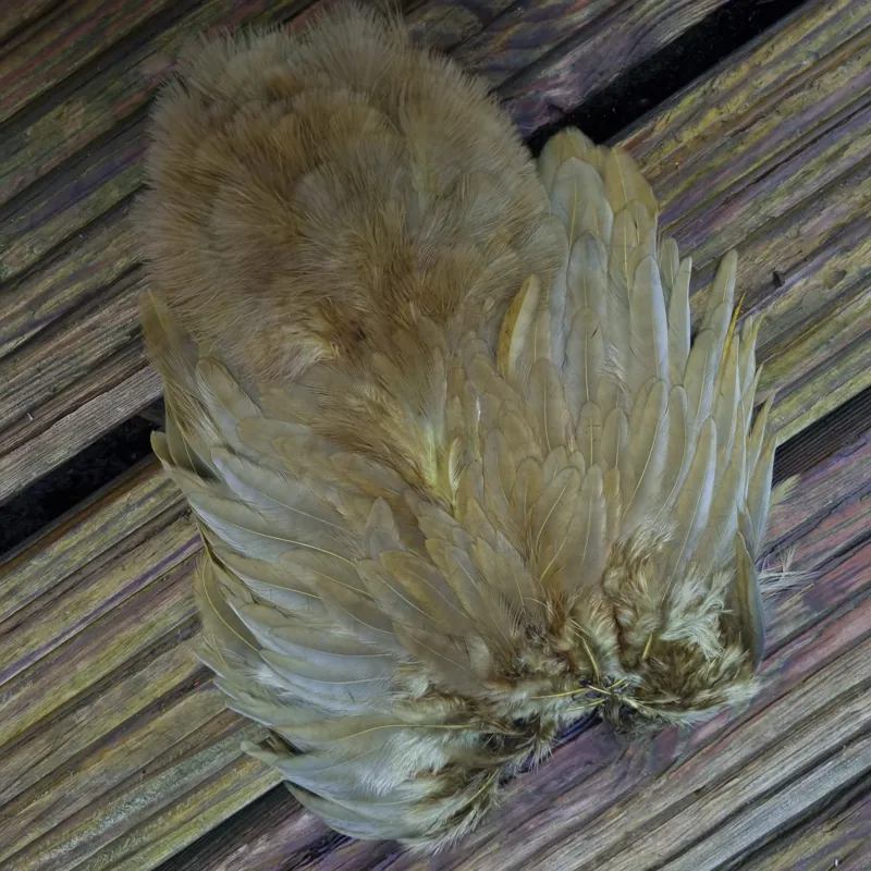 Whiting Rooster Soft Hackle with Chickabou in White dyed Dark Olive-1