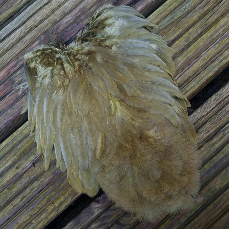 Whiting Rooster Soft Hackle with Chickabou in White dyed Dark Olive-5