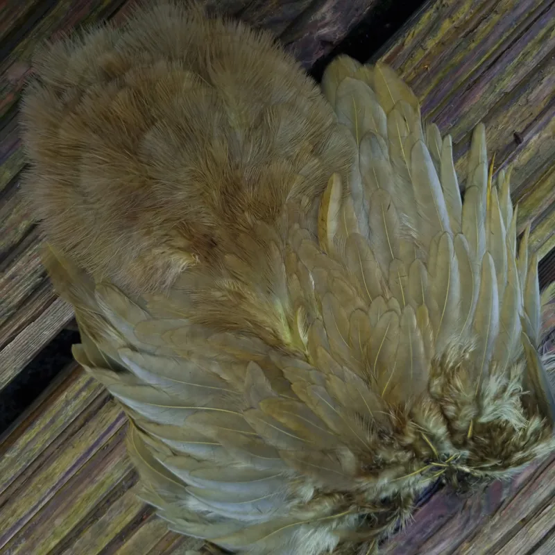 Whiting Rooster Soft Hackle with Chickabou in White dyed Dark Olive-3