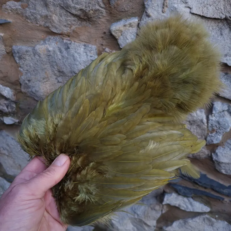 Whiting Rooster Soft Hackle with Chickabou in White dyed Dark Olive