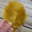 Whiting Super Bou in Golden Olive