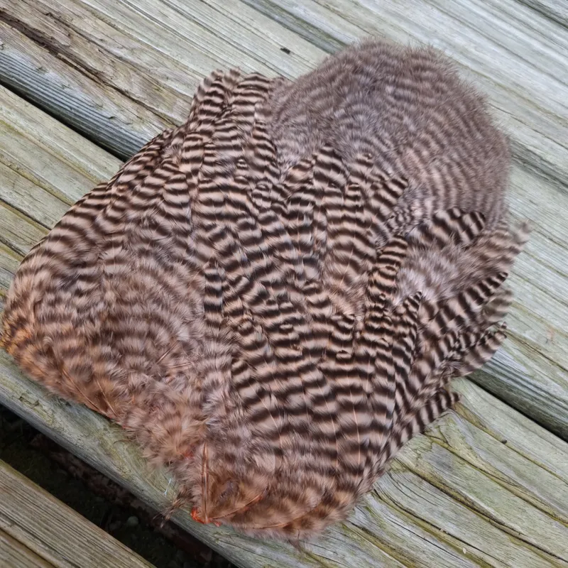 Whiting Rooster Soft Hackle with Chickabou in Grizzly Dyed Salmon-2