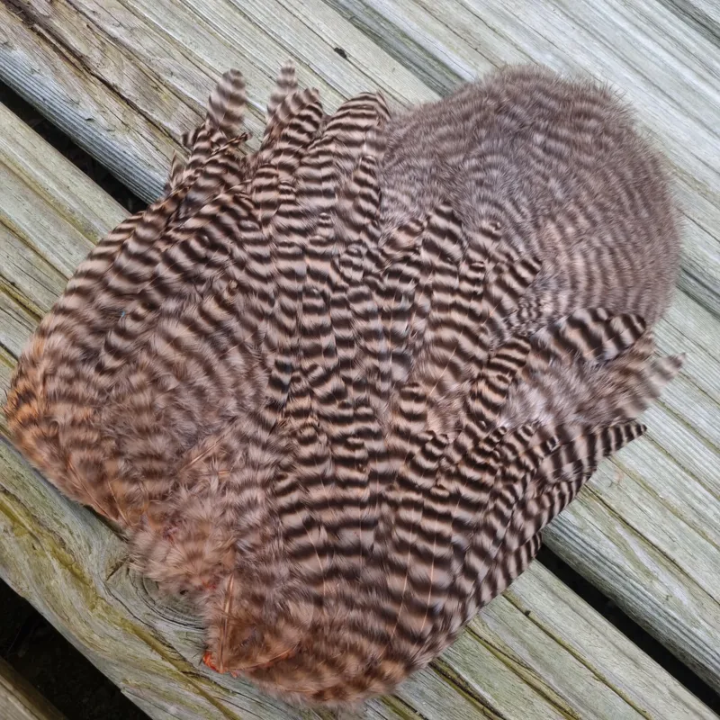 Whiting Rooster Soft Hackle with Chickabou in Grizzly Dyed Salmon