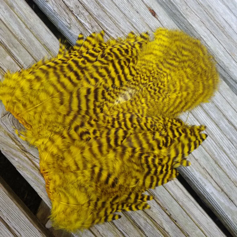 Whiting Rooster Soft Hackle with Chickabou in Grizzly Dyed Yellow