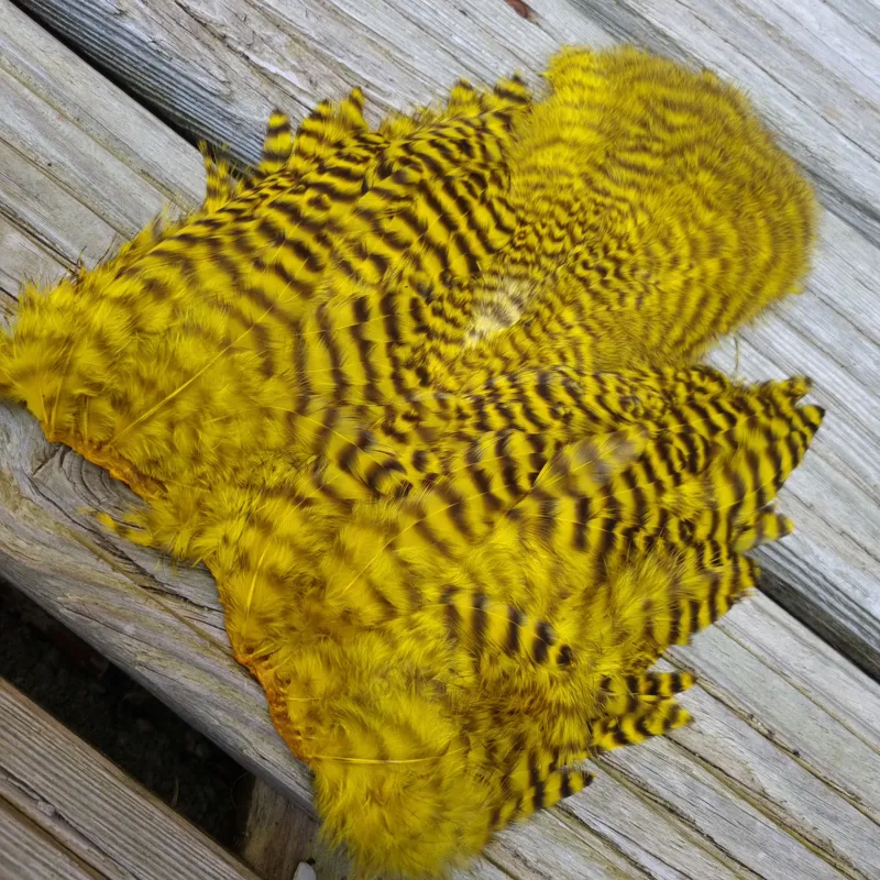 Whiting Rooster Soft Hackle with Chickabou in Grizzly Dyed Yellow-2