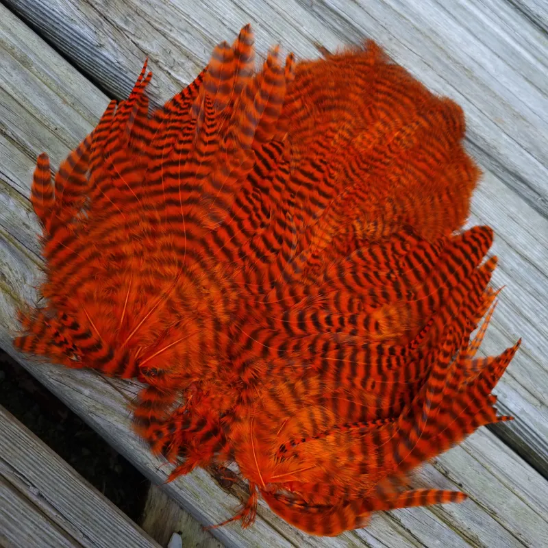 Whiting Rooster Soft Hackle with Chickabou in Grizzly Dyed Orange-1