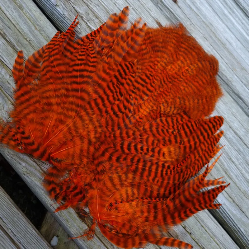 Whiting Rooster Soft Hackle with Chickabou in Grizzly Dyed Orange