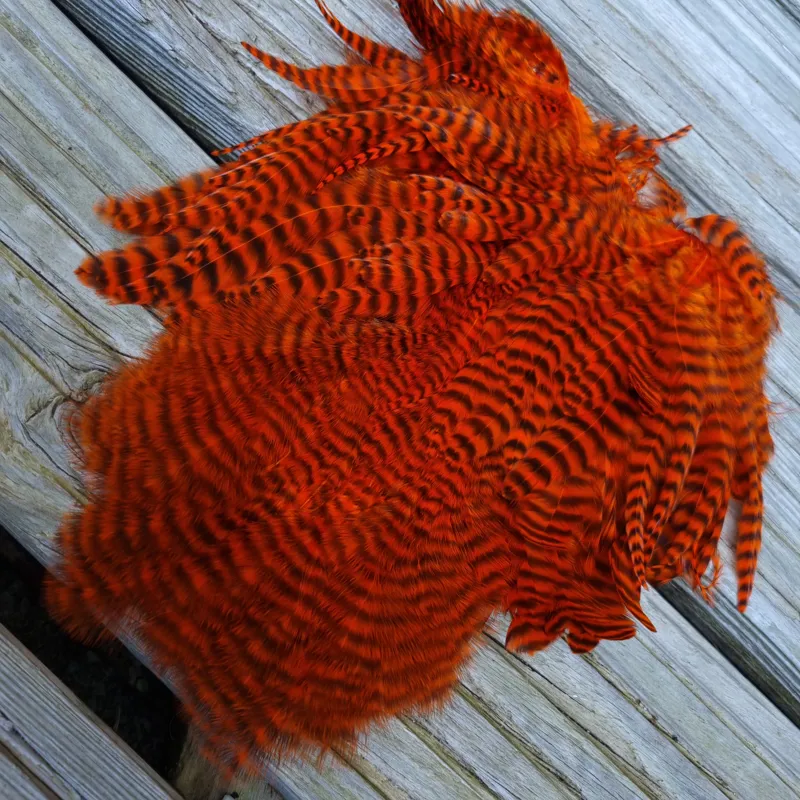 Whiting Rooster Soft Hackle with Chickabou in Grizzly Dyed Orange-2