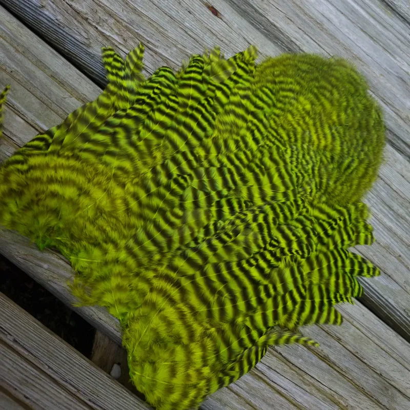 Whiting Rooster Soft Hackle with Chickabou in Grizzly Dyed Fl.Yellow Chartreuse-2