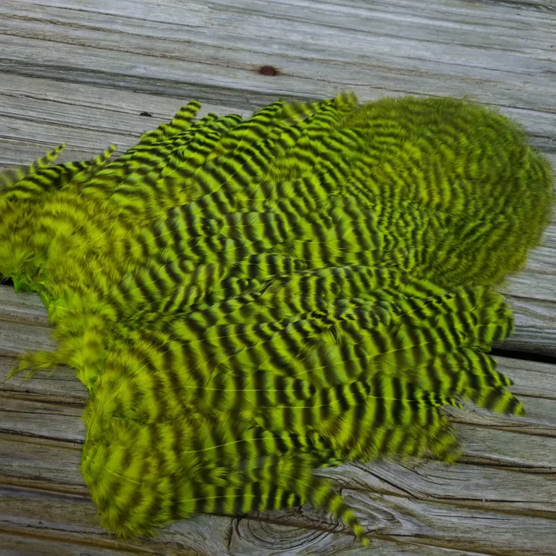 Whiting Rooster Soft Hackle with Chickabou in Grizzly Dyed Fl.Yellow Chartreuse