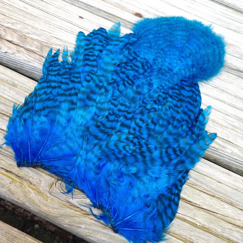 Whiting Rooster Soft Hackle with Chickabou in Grizzly Dyed Kingfisher Blue-1