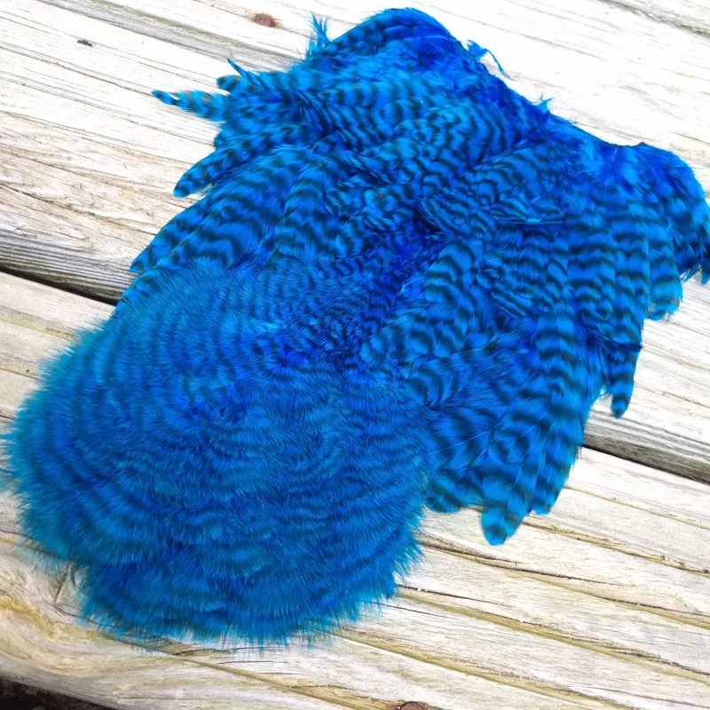 Whiting Rooster Soft Hackle with Chickabou in Grizzly Dyed Kingfisher Blue