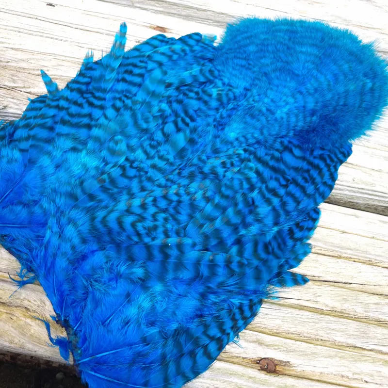 Whiting Rooster Soft Hackle with Chickabou in Grizzly Dyed Kingfisher Blue-2