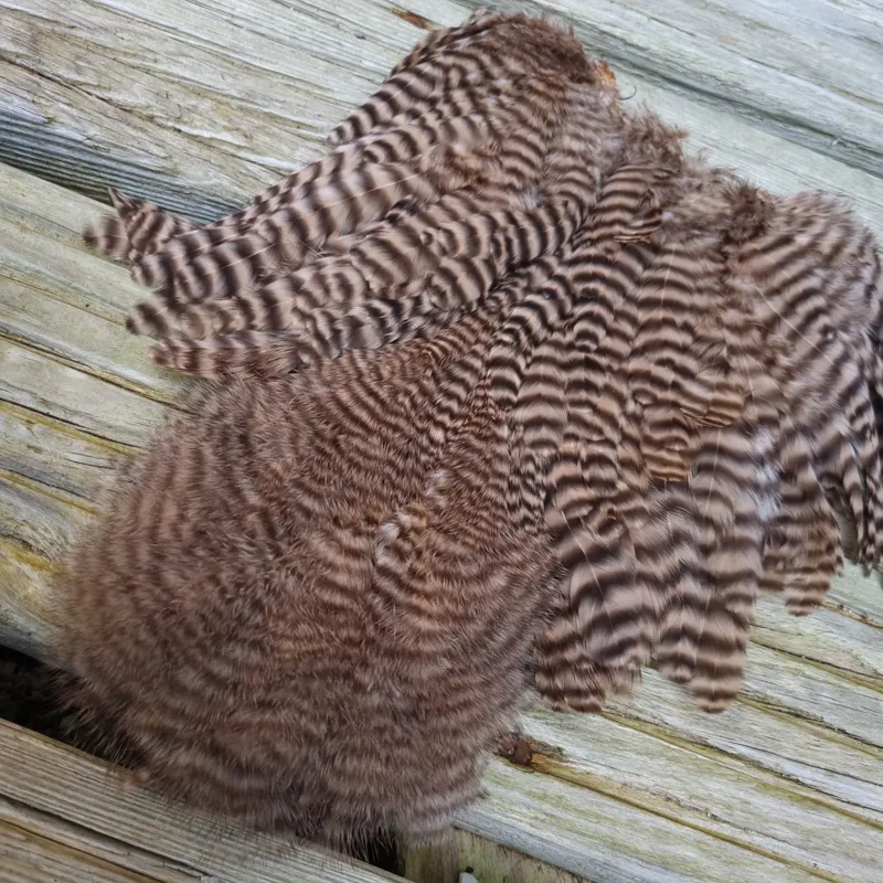 Whiting Rooster Soft Hackle with Chickabou in Grizzly Dyed Tan