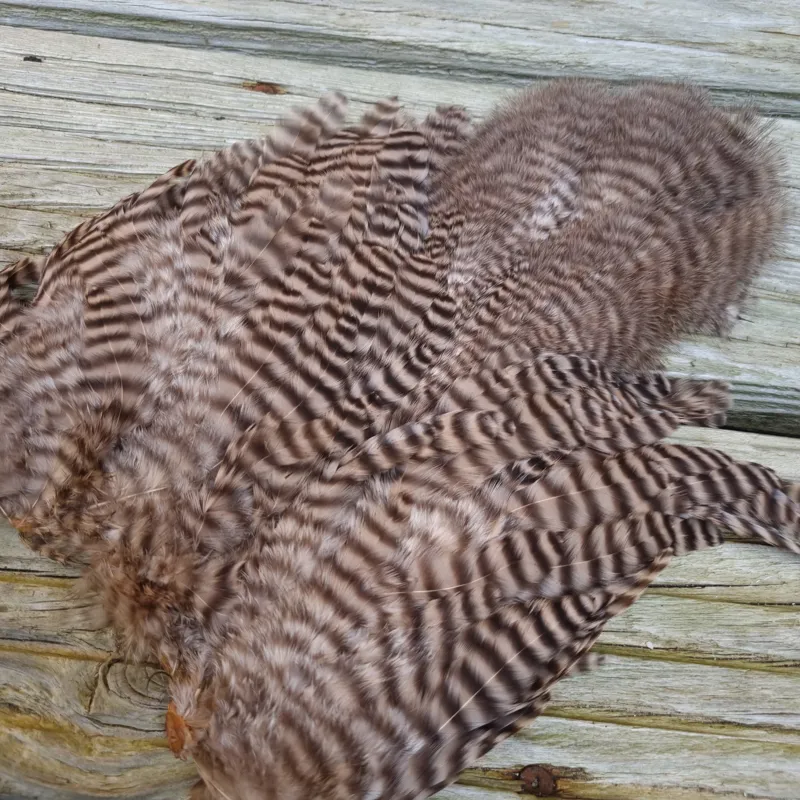 Whiting Rooster Soft Hackle with Chickabou in Grizzly Dyed Tan-2