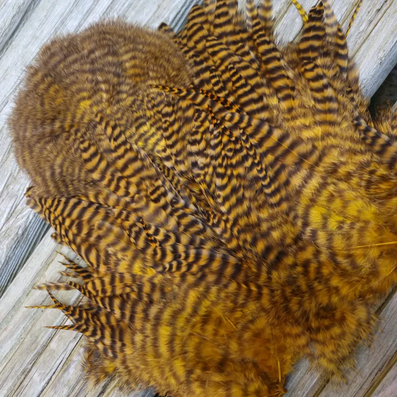 Whiting Rooster Soft Hackle with Chickabou in Grizzly Dyed Copper Olive