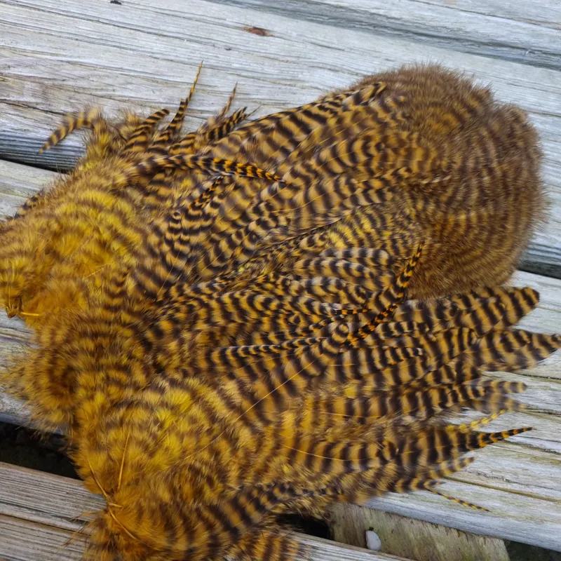 Whiting Rooster Soft Hackle with Chickabou in Grizzly Dyed Copper Olive-3